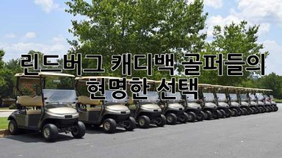 린드버그 캐디백: 골퍼들의 현명한 선택