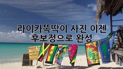 라이카똑딱이📸 사진, 이젠 후보정으로 완성!✨